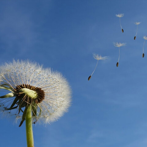 Καλός ο καιρός το τριήμερο της 28ης Οκτωβρίου, σύμφωνα με τους μετεωρολόγους