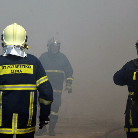 Πυροσβέστες επιχειρούν σε δασική πυρκαγιά