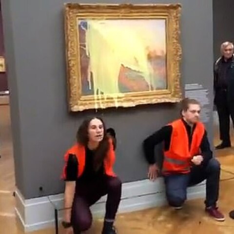 Επίθεση σε πίνακα του Μονέ