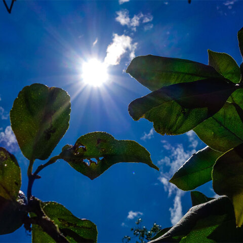 Καιρός - Ήλιος