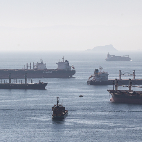 Πλοία που μετέφεραν σιτηρά από τα λιμάνια της Ουκρανίας