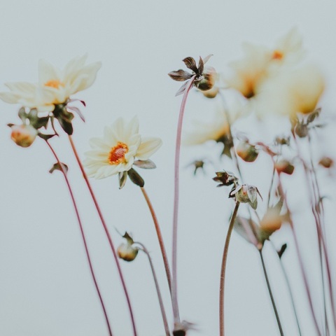 Εορτολόγιο: Σήμερα 31 Οκτωβρίου γιορτάζει…