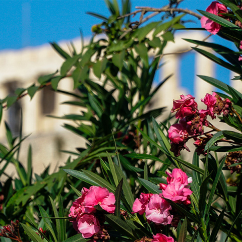 Καιρός σήμερα