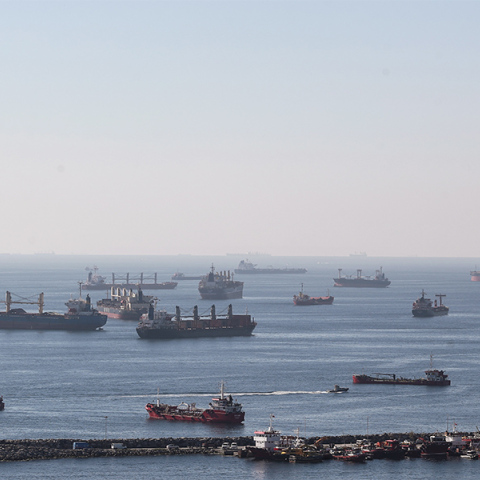 Πλοία που μετέφεραν σιτηρά από τα λιμάνια της Ουκρανίας