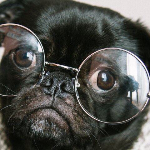 Κουίζ: Μπορείς να βρεις τη σημασία αυτών των παλιών λέξεων;