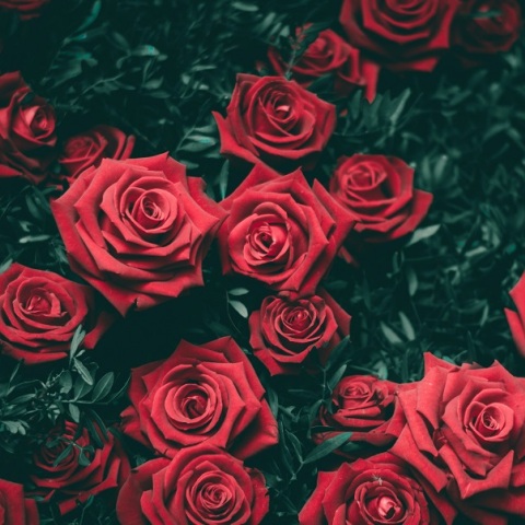 Εορτολόγιο: Σήμερα 2 Νοεμβρίου γιορτάζει…