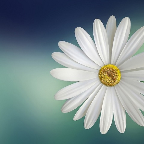 Εορτολόγιο: Σήμερα 3 Νοεμβρίου γιορτάζει…