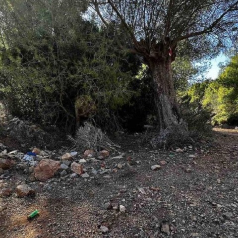 Συνελήφθη ο 14χρονος που σκότωσε τον αδελφό του στη Μάνδρα