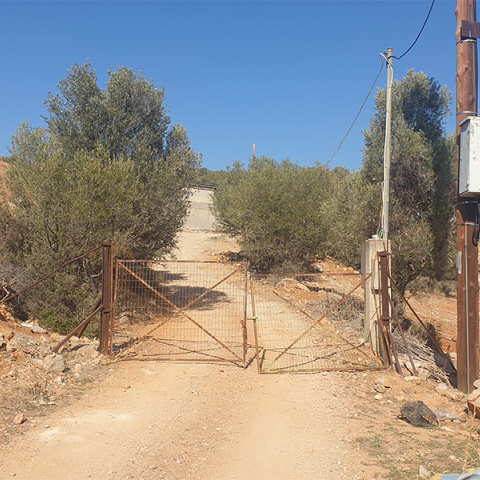 H κτηνοτροφική μονάδα της οικογένειας στη Μάνδρα Αττικής