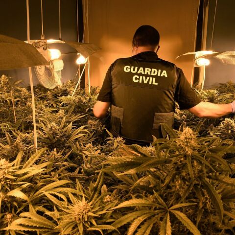 Ισπανία: Η αστυνομία κατέσχεσε τη μεγαλύτερη ποσότητα μαριχουάνας που έχει ποτέ κατασχεθεί παγκοσμίως, αξίας 64 εκατ ευρώ	