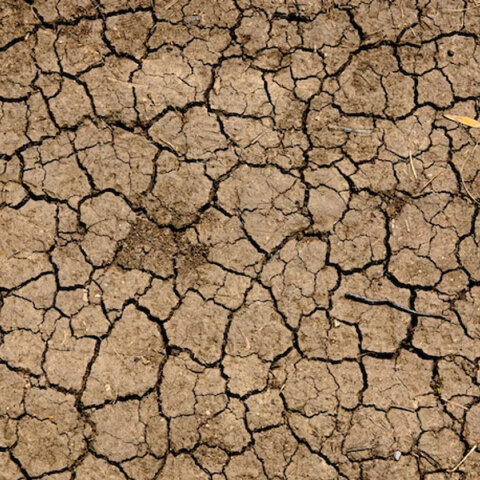 Η ξηρασία επηρεάζει πολλές περιοχές του πλανήτη, καθώς η κλιματική αλλαγή συνεχίζεται