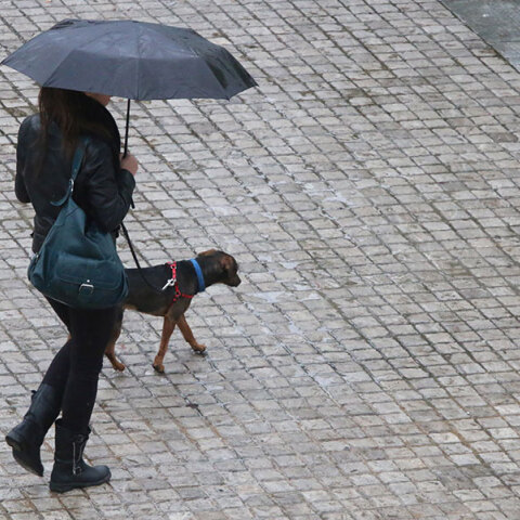 Η κακοκαιρία EVA έφερε βροχή στην Αττική