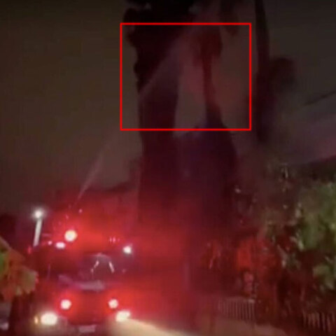 Φωτιά από κεραυνό σε φοίνικα στο Χαϊδάρι