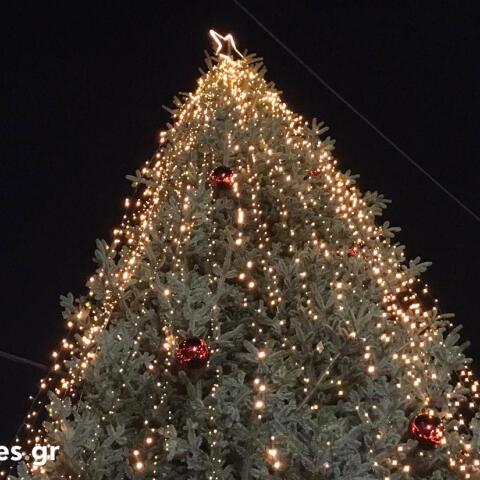 Χαλκιδική: Τοποθετήθηκε στην πλατεία του Ταξιάρχη το πρώτο Χριστουγεννιάτικο δέντρο της Ελλάδας