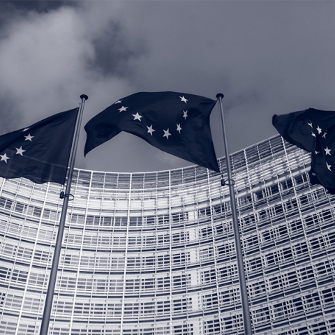 Ευρωπαϊκό Κοινοβούλιο