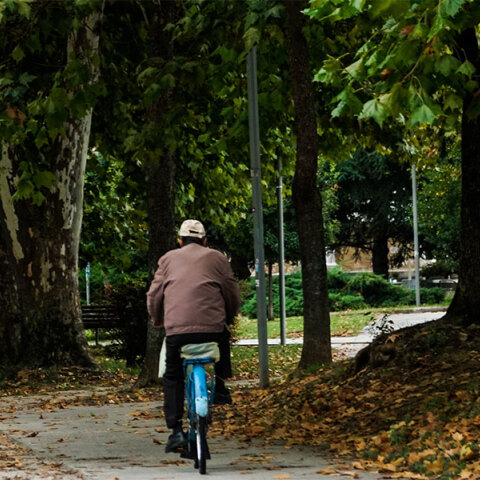 Ποδηλάτης στο πάρκο