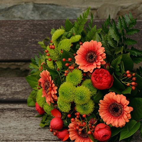 Λουλούδι - γιορτή