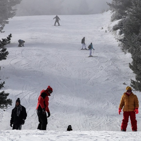 Ο Σ. Αρναούτογλου απαντά στον Γ. Καλλιάνο: 20 χρόνια δίνω μάχη για τις υπερβολές και την παραπληροφόρηση