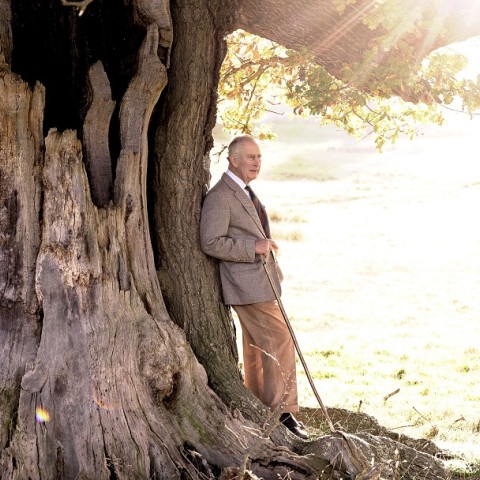Βασιλιάς Κάρολος