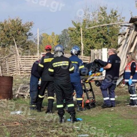 Νεκρή ηλικιωμένη μετά από πτώση δέντρου