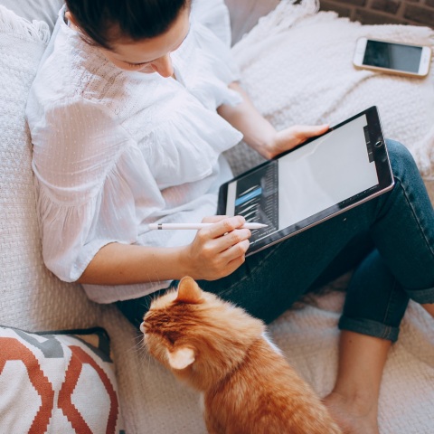 τηλεργασία: