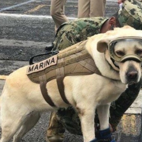 Η Φρίντα παίρνει σύνταξη από το Πολεμικό Ναυτικό