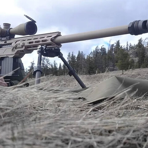 Πόλεμος στην Ουκρανία