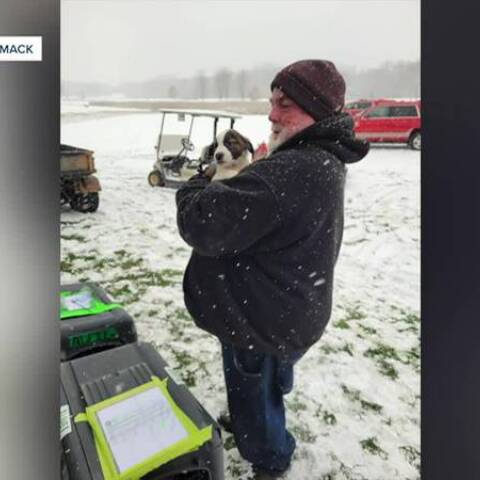 Αεροπλάνο με 53 σκύλους προς υιοθεσία έκανε «καταστροφική» προσγείωση σε γήπεδο γκολφ