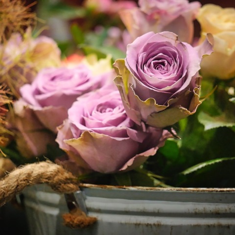 Εορτολόγιο: Σήμερα 28 Σεπτεμβρίου γιορτάζει… 