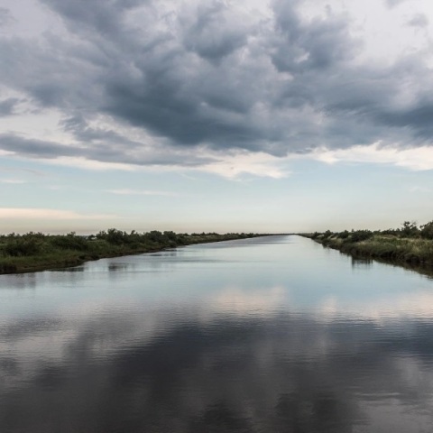 Ελέγχεται για σύσταση εγκληματικής οργάνωσης η ΜΚΟ Human Rights 360