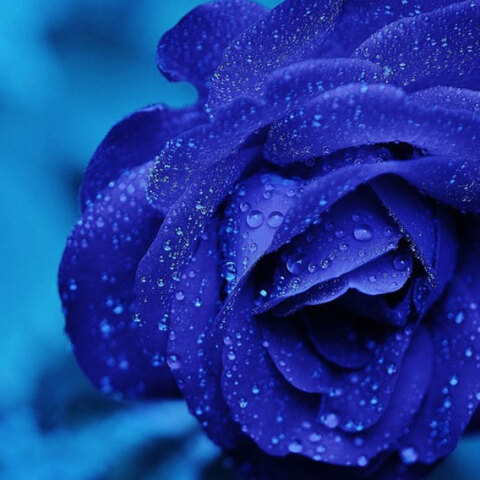 O Αμφιλόχιος γιορτάζει σήμερα 23 Νοεμβρίου