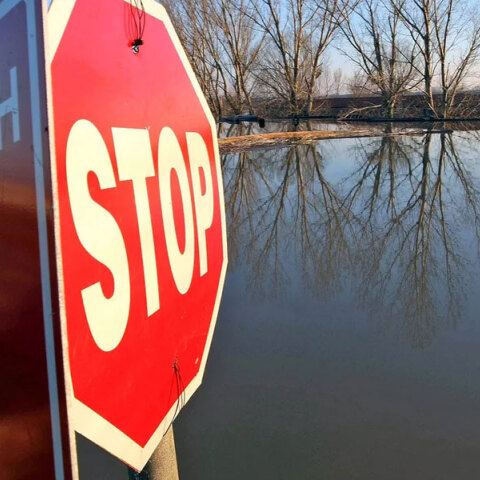 Η ΜΚΟ HumanRights360 είχε έρθει στην επικαιρότητα μετά τα περιστατικά με μετανάστες στον ποταμό Έβρο