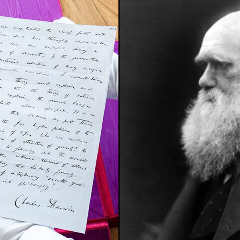 Η σπάνια χειρόγραφη επιστολή του Δαρβίνου που βγαίνει σε δημοπρασία από τον Sotheby's