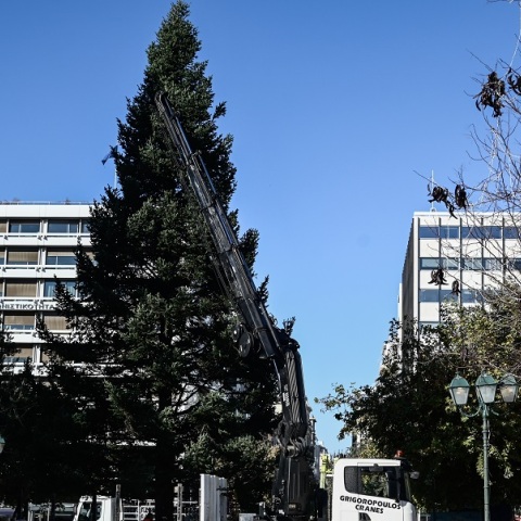 Στήθηκε το χριστουγεννιάτικο δέντρο στην πλατεία Συντάγματος (βίντεο)