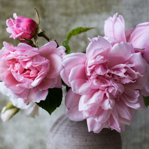 Εορτολόγιο: Σήμερα 30 Νοεμβρίου γιορτάζει…