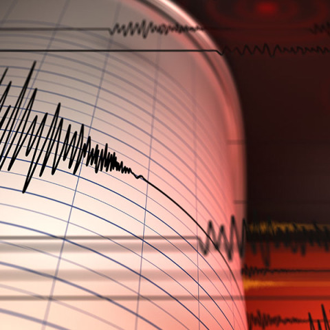 seismografosshutterrrrr
