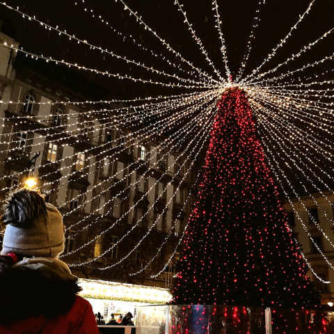 Παιδάκι κοιτά το ψηλό χριστουγεννιάτικο δέντρο στη Βουδαπέστη