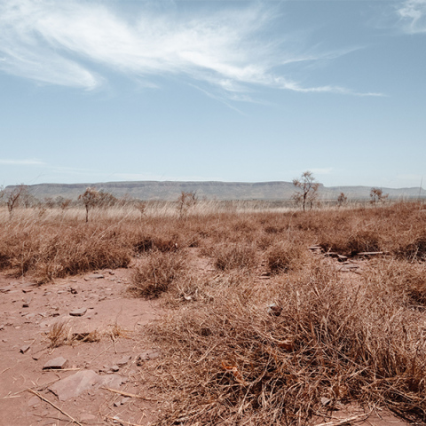 Τοπίο-ξηρασία