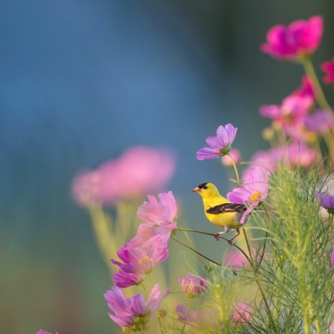 Εορτολόγιο: Σήμερα 1 Δεκεμβρίου γιορτάζει…