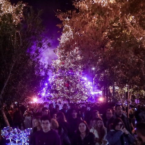 Φωταγωγήθηκε το Χριστουγεννιάτικο δέντρο στο Σύνταγμα - Δείτε το βίντεο