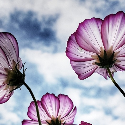 Εορτολόγιο: Σήμερα 2 Δεκεμβρίου γιορτάζει…