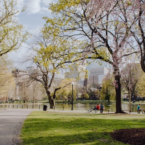 Χάπια φαιντανύλης, το νέο... mainstream ναρκωτικό των ΗΠΑ και 50 φορές πιο ισχυρό από την ηρωίνη