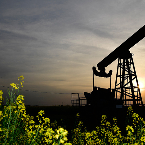 Πετρελαιοπηγή