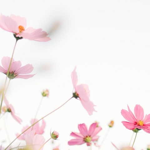 Εορτολόγιο: Σήμερα 5 Δεκεμβρίου γιορτάζει…