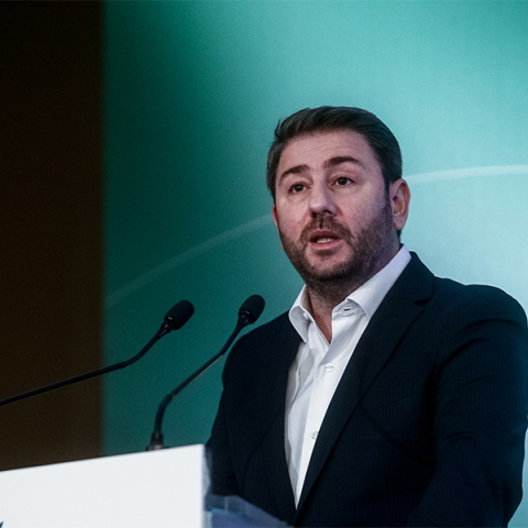 Νίκος Ανδρουλάκης