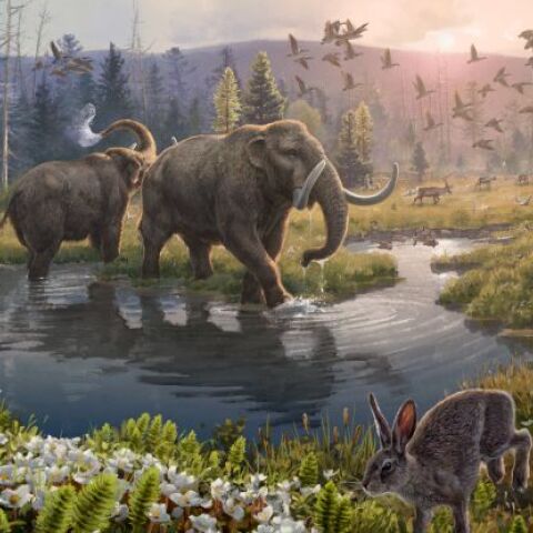 Οι επιστήμονες βρήκαν για πρώτη φορά τμήματα DNA δύο εκατομμυρίων ετών