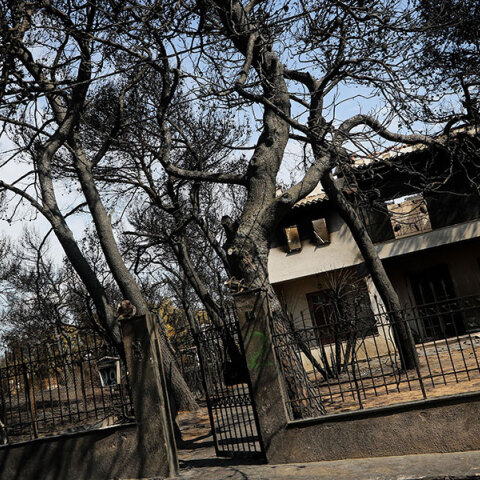 Συγκλονίζουν οι καταθέσεις στη δίκη για τη φωτιά στο Μάτι