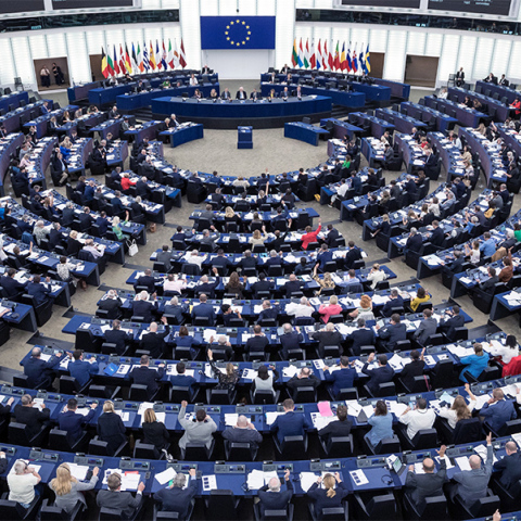 Ευρωπαϊκό Κοινοβούλιο