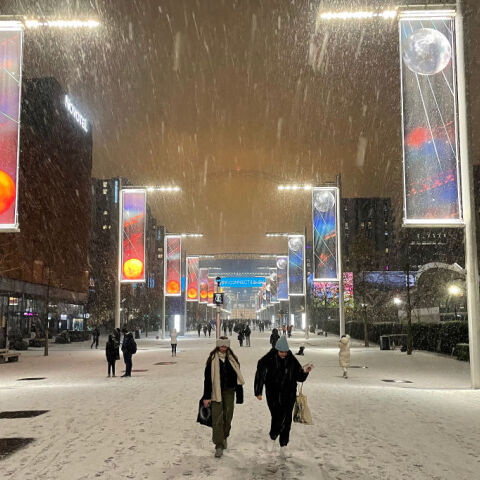Σφοδρή κακοκαιρία στο Λονδίνο: Χιόνια, ακυρώσεις πτήσεων και… αλεπούδες στον δρόμο