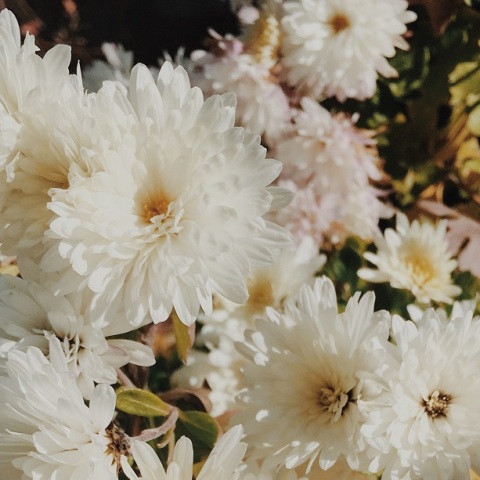 Εορτολόγιο: Σήμερα 14 Δεκεμβρίου γιορτάζει…